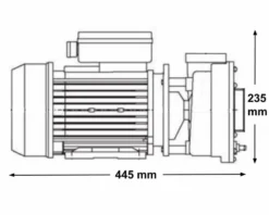 LX WP250 Spa Massagepomp 2,5 PK - 2 Speed 12 LX WP250 Spa Massagepomp 2,5 PK - 2 Speed -Zwembad en SPA 3770.22