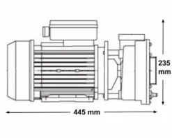 LX WP300 Spa Massagepomp 3 PK - 2 Speed -Zwembad en SPA 3771.2bis 1