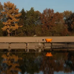 Weltevree Dutchtub Original Houtgestookte Hottub - 4 Personen - Groen -Zwembad en SPA chtub original gallery 12 1920x1920 2
