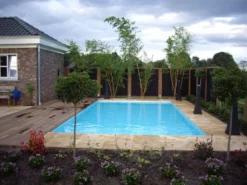 Zelfbouwpakket Zwembad 8.00 X 4.00 X 1.50 M -Zwembad en SPA imgp5253 1 1